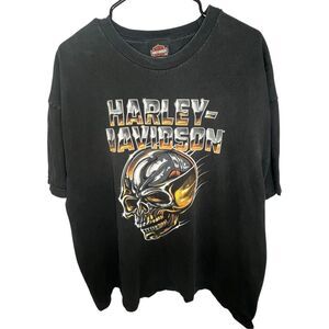 Harley Davidson Skull Flame Graphic Short Sleeve Cotton T-Shirt